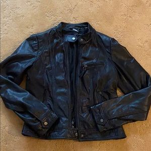 Wilson’s Leather Moto Jacket (M)